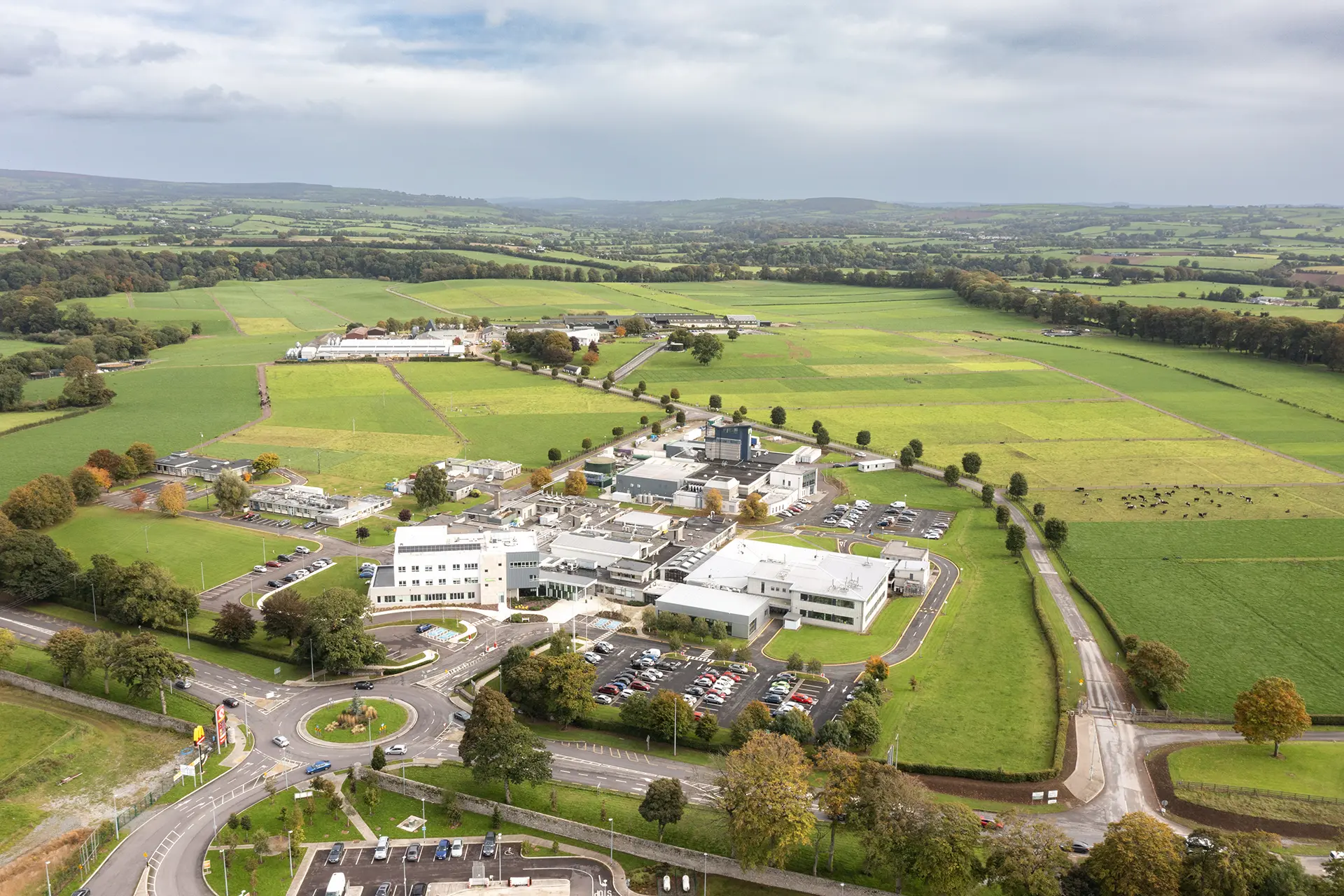 Cybercolors Innovation Campus In Cork | Cybercolors